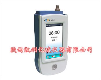 PHBJ-260F型便攜式pH計