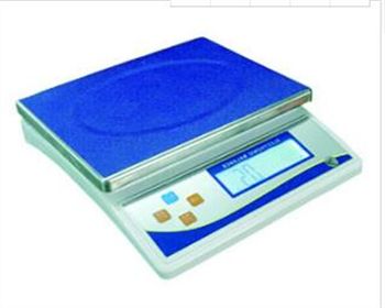 甘肅DY10K電子天平